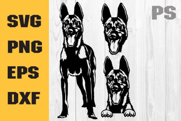 Belgian Malinois SVG: Embroidery Design Review