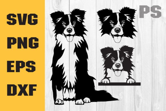 Border Collie Svg: An Embroidery Designer's Honest Review