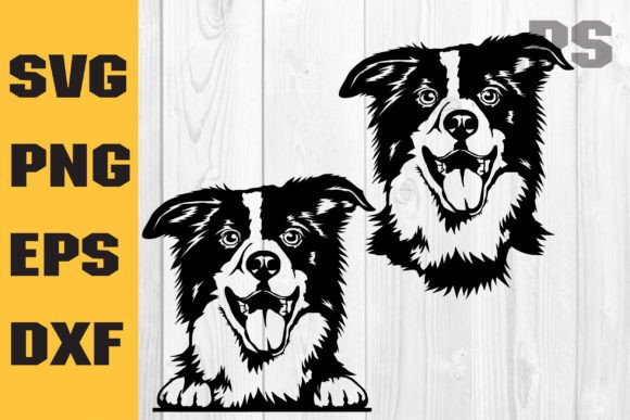 Border Collie Svg Review for Embroidery Projects