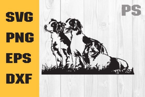 Brittany Spaniel SVG: A Designer’s Embroidery Review