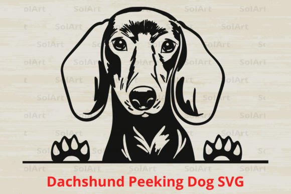 Dachshund Peeking Dog SVG: An Embroidery Designer’s Practical Review