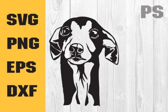Italian Greyhound, Dog Svg, Cute Dog: A Designer’s Review
