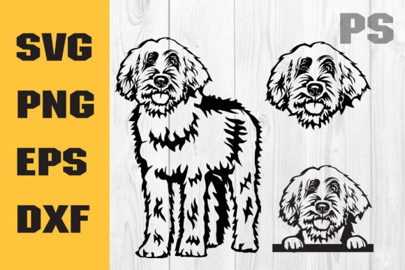 Labradoodle Svg, Dog Svg Cricut, Cute Review