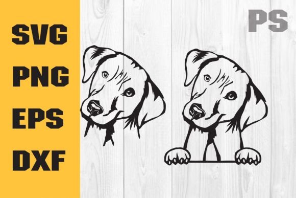 Labrador Svg, Dog Svg Cricut, Retriever