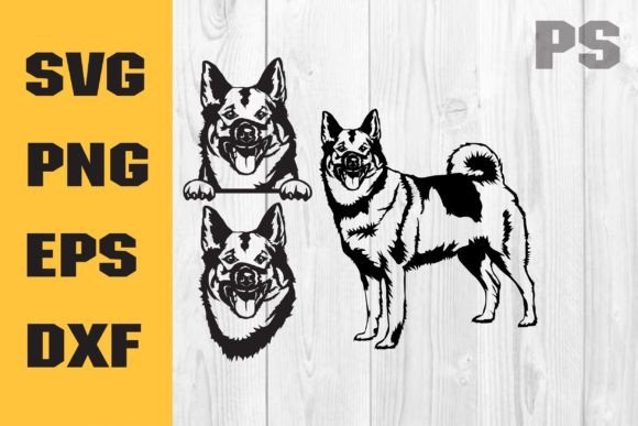 Norwegian Elkhound Dog Svg Vecto, Dog