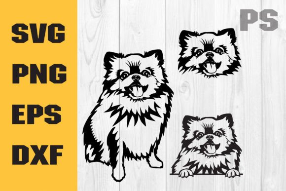 Pomeranian SVG Review: Real Talk for Embroidery Projects