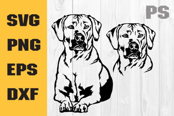Rhodesian Ridgeback Svg: A Designer's Honest Review for Embroidery