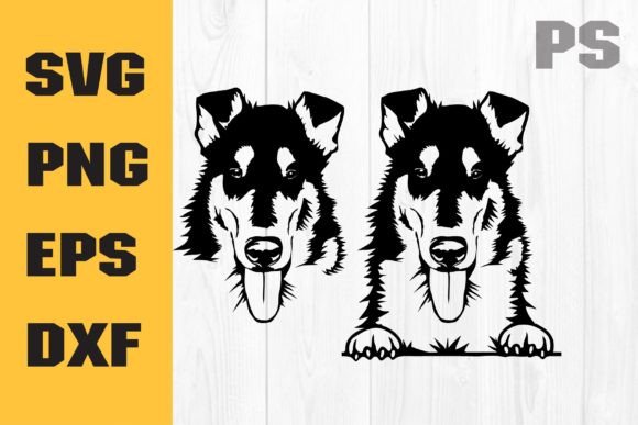 Smooth Collie SVG: Dog SVG & Rough Collie Review